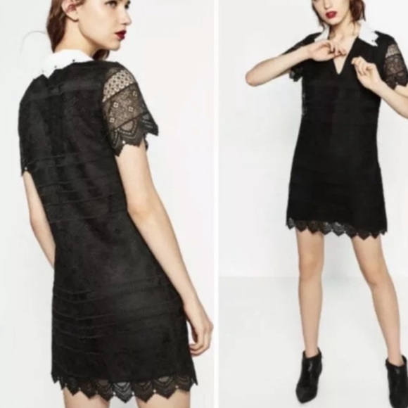 NWT Zara Black Lace Collared Shift A Line Dress XS - Picture 2 of 14